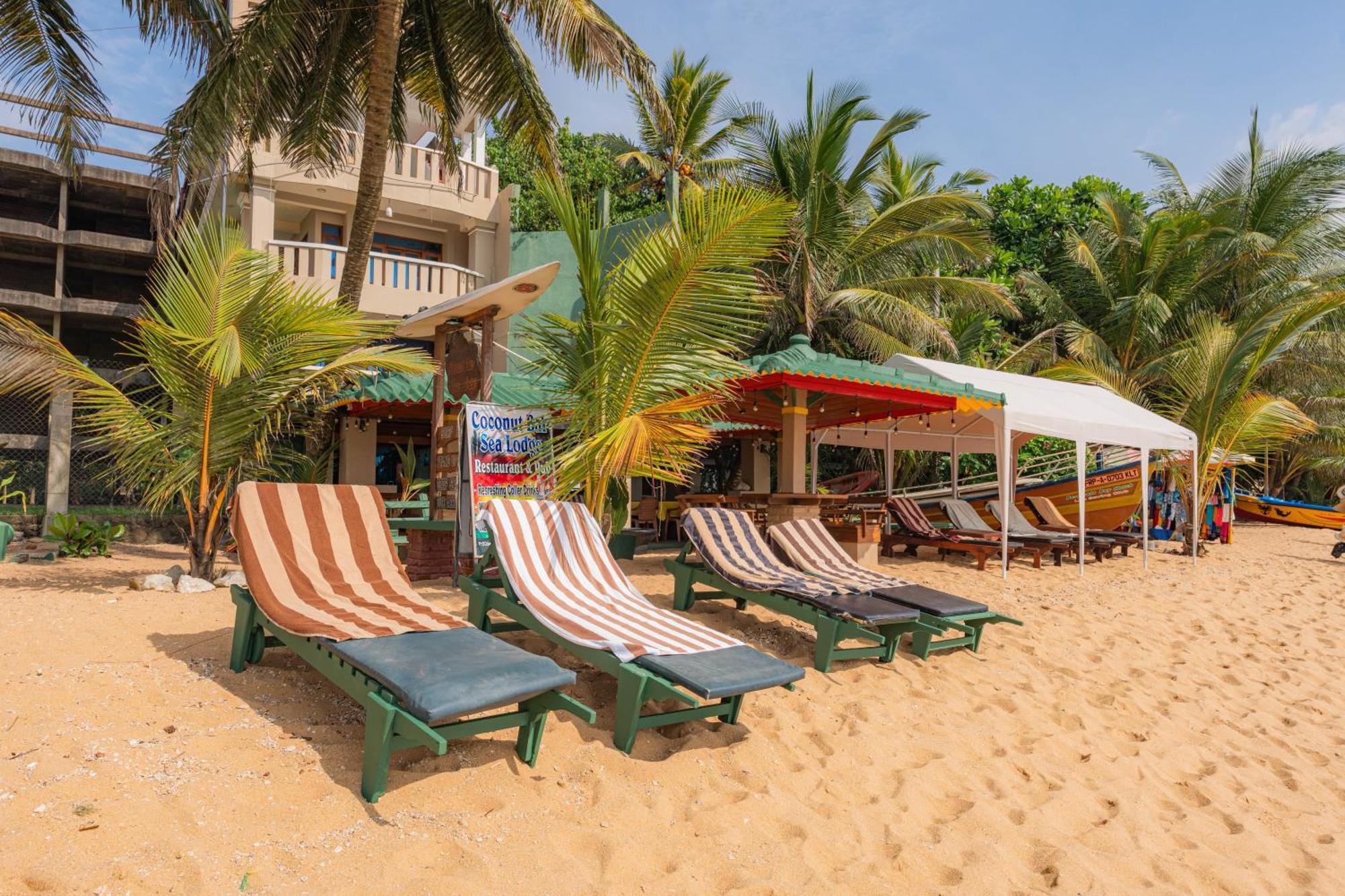 Hotel Coconut Bar Sea Lodge Beruwala Exteriér fotografie